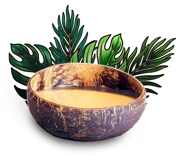 Coconut shell of kava with tropical leaves from Kava Social Club