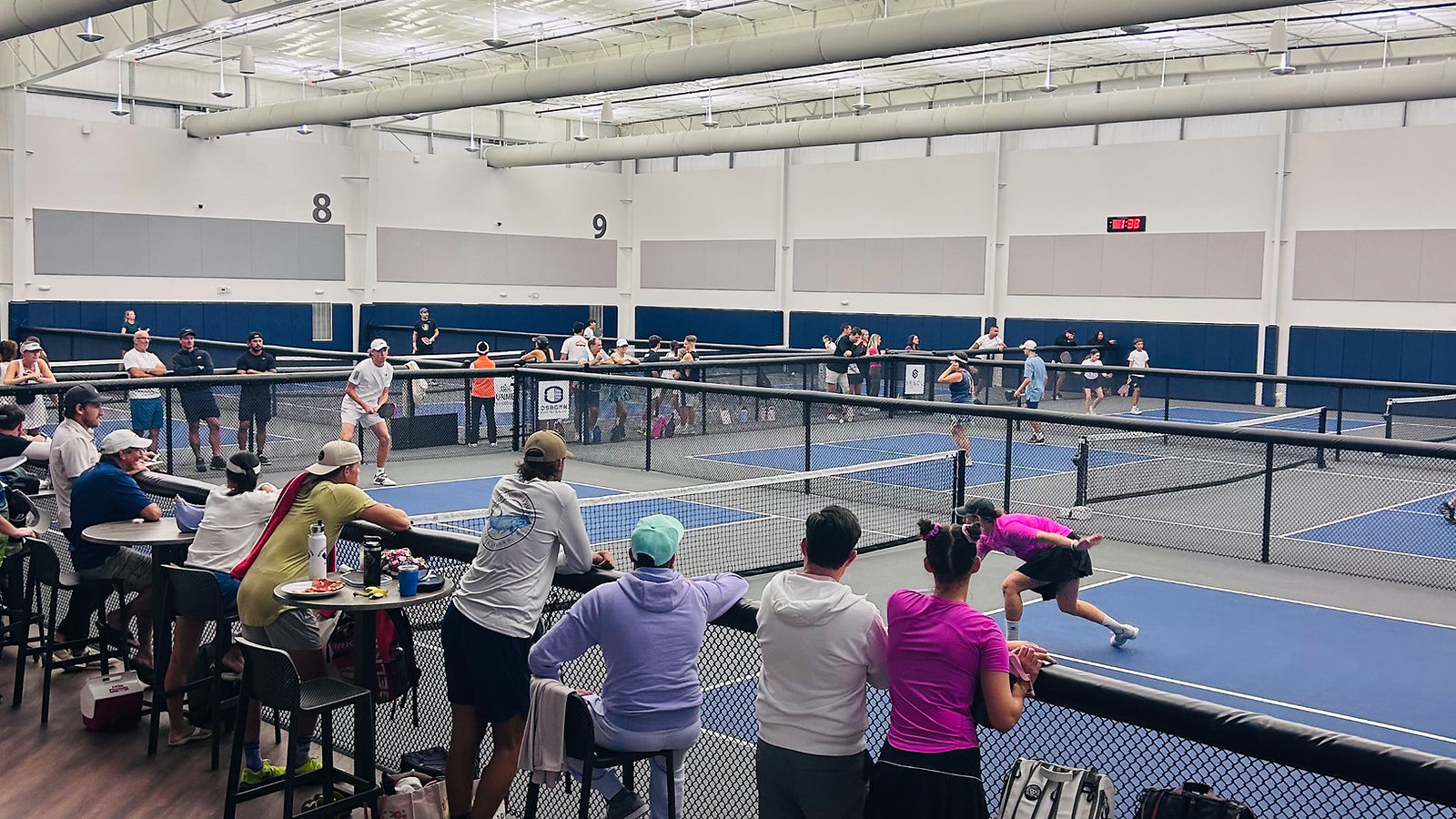 Pickleball in Sarasota
